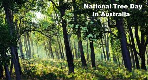australian bush national tree day